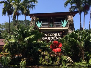 Pinecrest Gardens - Floride