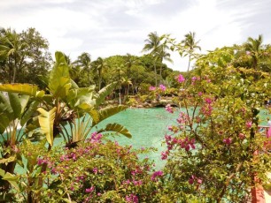 Venetian Pool : la piscine vénitienne de Coral Gables à Miami.