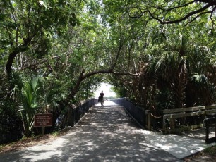 Palm Beach : John D. MacArthur Beach State Park, plage, mangrove
