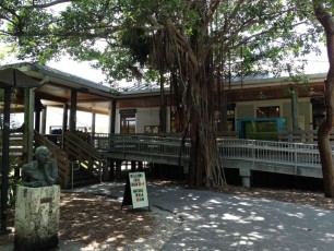 Palm Beach : John D. MacArthur Beach State Park, plage, nature center