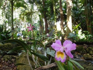 Fairchild Tropical Garden - Miami - Floride