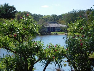 Jardins Japonais Morikami à Delray Beach