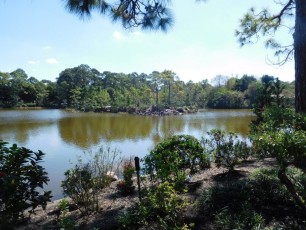 Jardins Japonais Morikami à Delray Beach