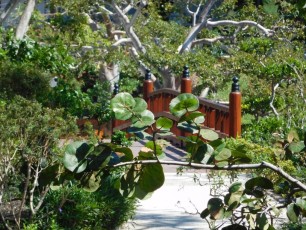 Jardins Japonais Morikami à Delray Beach