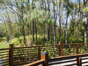 Jardins Japonais Morikami à Delray Beach