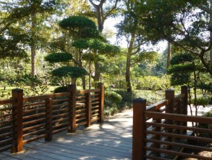 Jardins Japonais Morikami à Delray Beach