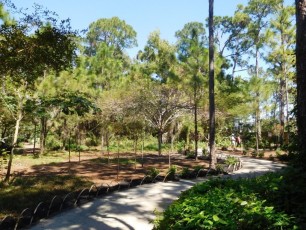 Jardins Japonais Morikami à Delray Beach