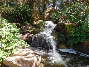 Jardins Japonais Morikami à Delray Beach