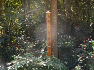 Jardins Japonais Morikami à Delray Beach