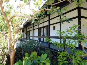 Jardins Japonais Morikami à Delray Beach