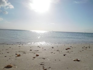 Plage de Delnor-Wiggins Pass State Park à Naples Floride