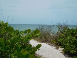 Plage de Delnor-Wiggins Pass State Park à Naples Floride