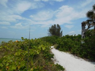 Plage de Delnor-Wiggins Pass State Park à Naples Floride