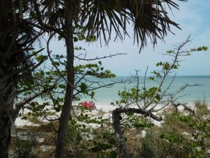 Plage de Delnor-Wiggins Pass State Park à Naples Floride