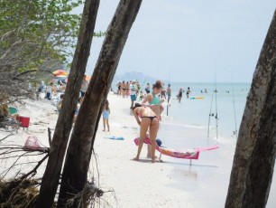 Plage de Delnor-Wiggins Pass State Park à Naples Floride