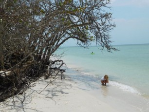 Plage de Delnor-Wiggins Pass State Park à Naples Floride