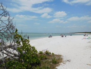 Plage de Delnor-Wiggins Pass State Park à Naples Floride