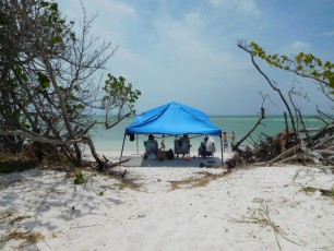 Plage de Delnor-Wiggins Pass State Park à Naples Floride