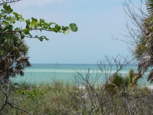 Plage de Delnor-Wiggins Pass State Park à Naples Floride