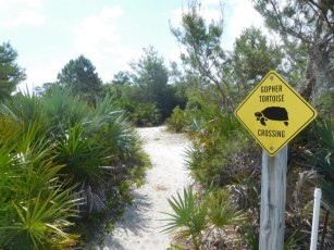National Wildlife Refuge de Hobe Sound / Floride