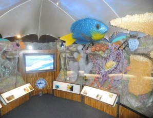 Mote Marine Laboratory & Aquarium, sur Lido Key à Sarasota