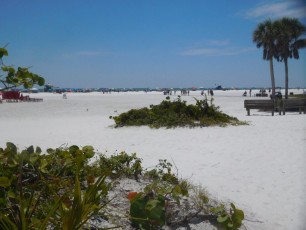 Plage de Siesta Beach sur l'île de Siesta Key à Sarasota / Floride