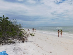 Honeymoon Island, Floride