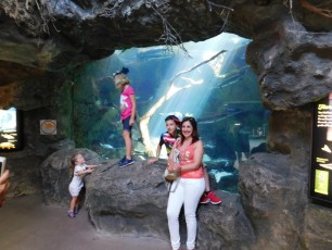 Florida Aquarium à Tampa / Floride