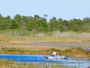 Savannas-Preserve-State-Park-port-st-lucie-Floride-9022