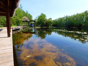 Grassy-Waters-Preserve-west-palm-beach-1232