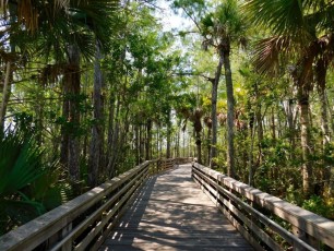 Grassy-Waters-Preserve-west-palm-beach-1261