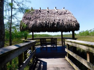 Grassy-Waters-Preserve-west-palm-beach-1269
