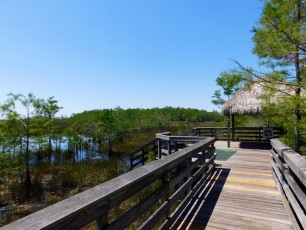 Grassy-Waters-Preserve-west-palm-beach-1305