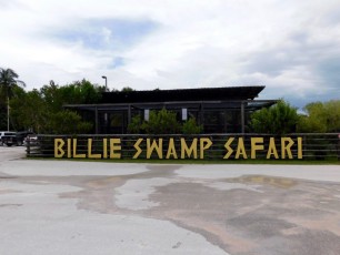 Billie-Swamp-Safari-Floride-5901