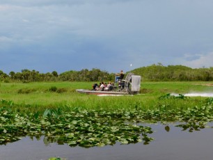 Billie-Swamp-Safari-Floride-5932