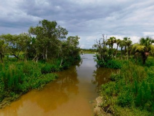 Billie-Swamp-Safari-Floride-5937