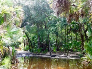 Billie-Swamp-Safari-Floride-5999