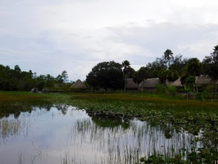 Billie-Swamp-Safari-Floride-6262