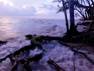 Coucher-de-soleil-delnor-wiggins-pass-state-park-naples-floride-6339