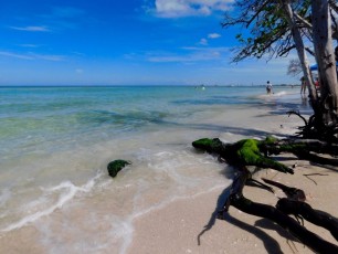 Delnor-wiggins-pass-state-park-plage-naples-2247