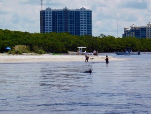 Delnor-wiggins-pass-state-park-plage-naples-2327