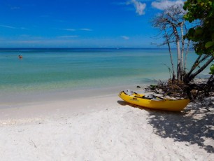 Delnor-wiggins-pass-state-park-plage-naples-2394