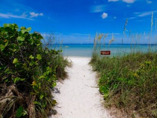 Delnor-wiggins-pass-state-park-plage-naples-2453