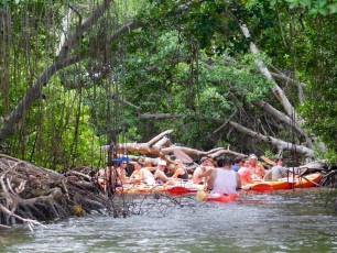 Fury-waters-bateau-Key-West-snorkelling-kayak-coucher-de-soleil-boca-grande-5073