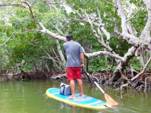 Fury-waters-bateau-Key-West-snorkelling-kayak-coucher-de-soleil-boca-grande-5077
