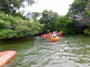 Fury-waters-bateau-Key-West-snorkelling-kayak-coucher-de-soleil-boca-grande-5081