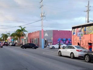 Wynwood-art-district-Miami-3148