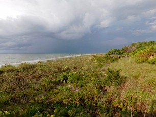 plage-phare-coquillages-Sanibel-island-lighthouse-beach-park-6424