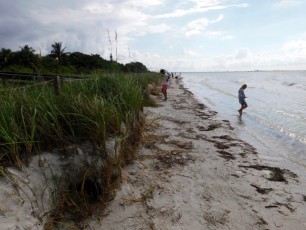 plage-phare-coquillages-Sanibel-island-lighthouse-beach-park-6532