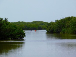 bowman-s-beach-Sanibel-Island-ile-plage-Floride-9241